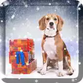 Free play online Animal Snow Live Wallpaper APK