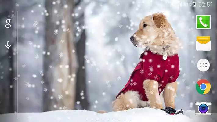 Play Animal Snow Live Wallpaper