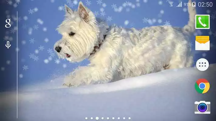 Play Animal Snow Live Wallpaper