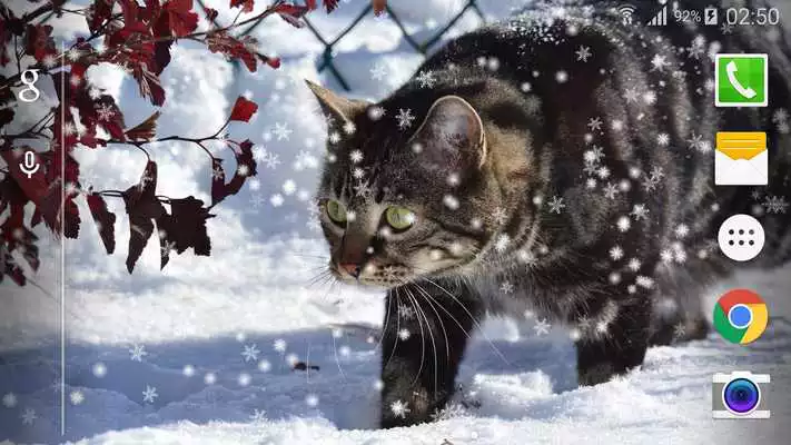 Play Animal Snow Live Wallpaper