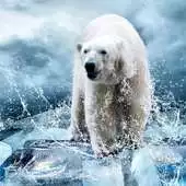 Free play online Animals of the World Jigsaw Puzzles Game APK Free play online Animals of the World Jigsaw Puzzles Game APK