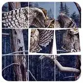 Free play online Animals Oil Painting Puzzle APK