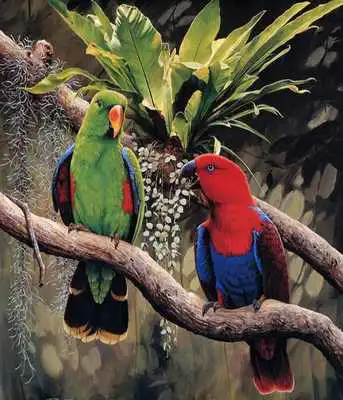 Play Animals Oil Painting Puzzle