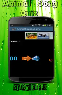 Play Animal Song QUiz