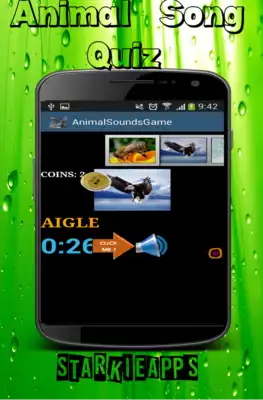 Play Animal Song QUiz