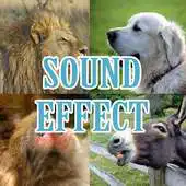 Free play online animal sound effects APK