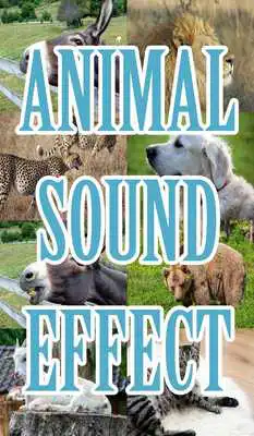 Play animal sound effects
