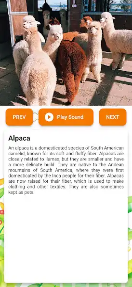 Play Animal Sound for Kids HQ as an online game Animal Sound for Kids HQ with UptoPlay