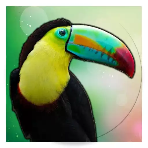 Run free android online Animal Sound for Kids APK