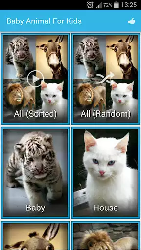 Play Animal Sound For Kids