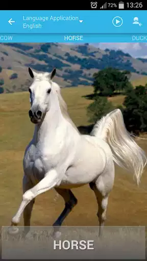 Play Animal Sound For Kids