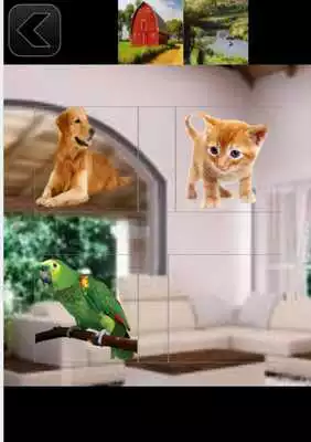 Play Animal Sound For Kids