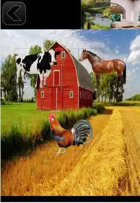 Play Animal Sound For Kids