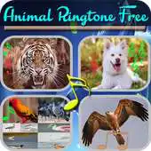 Free play online Animal Sound ringtones 2018 Free APK Free play online Animal Sound ringtones 2018 Free APK