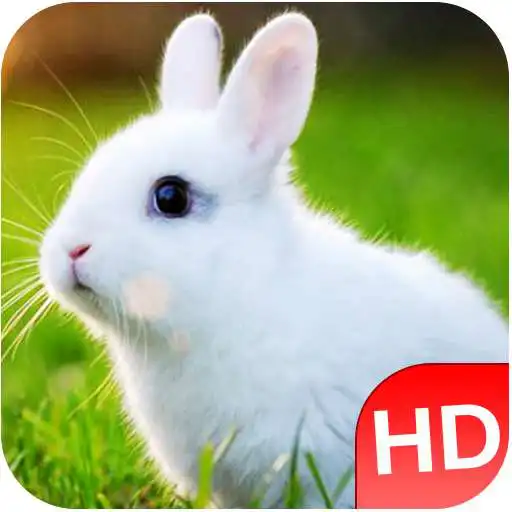 Free play online Animal Sounds 2017  APK
