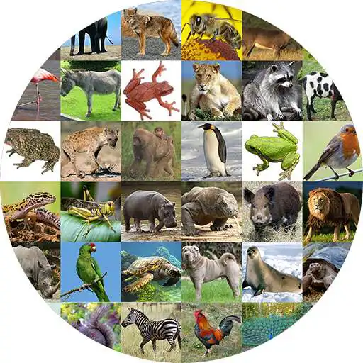 Play Animal Sounds Audio APK