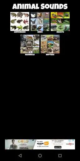 Play Animal Sounds Audio  and enjoy Animal Sounds Audio with UptoPlay