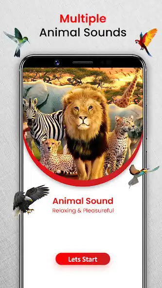 Play Animal Sounds Birds Ringtones as an online game Animal Sounds Birds Ringtones with UptoPlay