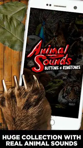 Play Animal Sounds Buttons & Ringtones  and enjoy Animal Sounds Buttons & Ringtones with UptoPlay