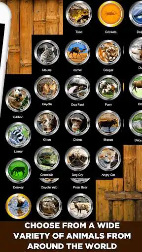Play Animal Sounds Buttons & Ringtones as an online game Animal Sounds Buttons & Ringtones with UptoPlay
