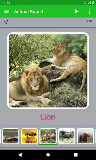 Play Animal Sound  and enjoy Animal Sound with UptoPlay