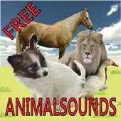 Free play online AnimalSoundsForBaby - Baby Zoo APK Free play online AnimalSoundsForBaby - Baby Zoo APK