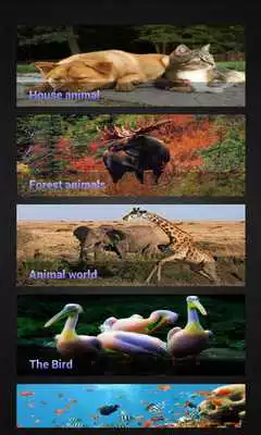 Play Animal Sounds for Kids Free
