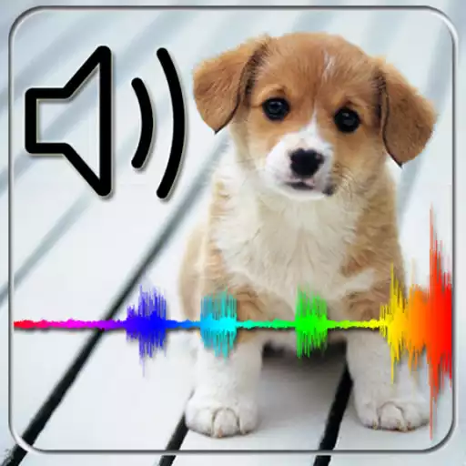 Play Animal sounds for kids APK Play Animal sounds for kids APK