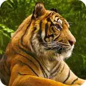 Free play online Animal Sounds HD APK