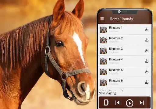 Play Animal sounds horse as an online game Animal sounds horse with UptoPlay