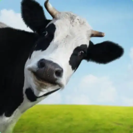 Play Animal Sounds Offline APK Play Animal Sounds Offline APK