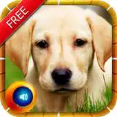 Free play online Animal Sounds Pictures Kids APK Free play online Animal Sounds Pictures Kids APK