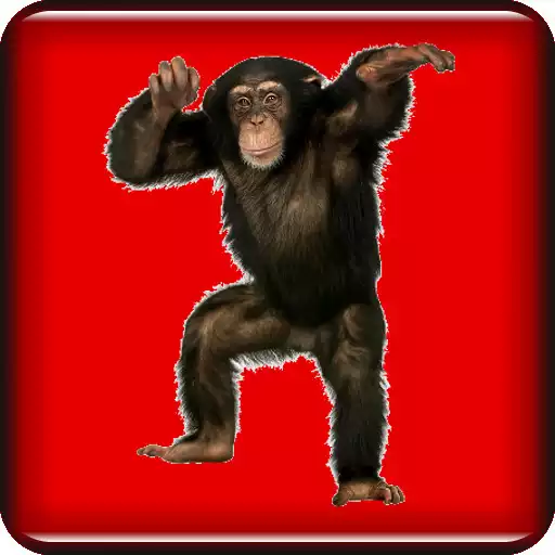Free play online Animal Sounds Ringtones APK