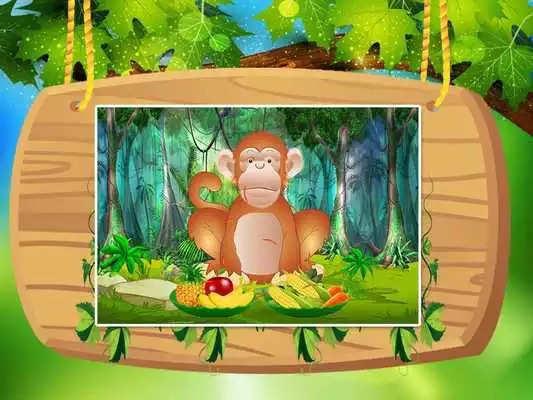 Play Animals Pet Beauty Salon Play Animals Pet Beauty Salon