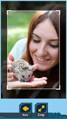 Play Animals Photo Crop