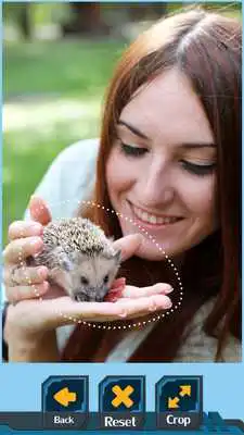 Play Animals Photo Crop