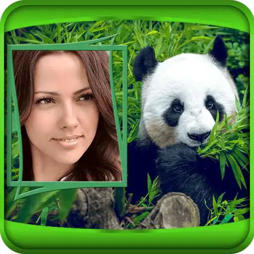 Free play online Animals Photo Frames APK