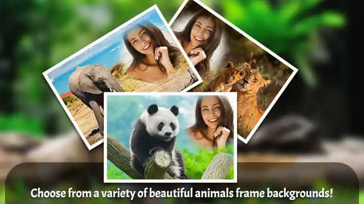 Play Animals Photo Frames Master