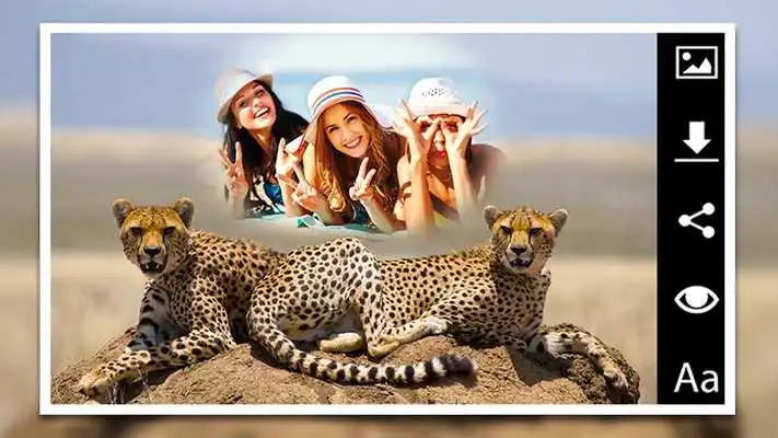 Play Animals Photo Frames Master