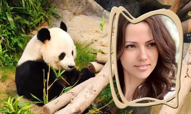 Play Animals Photo Frames