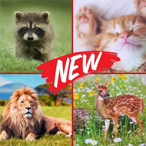 Play Animals pictures 2020 APK
