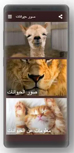 Play Animals pictures 2020  and enjoy Animals pictures 2020 with UptoPlay