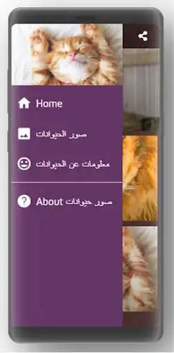 Play Animals pictures 2020 as an online game Animals pictures 2020 with UptoPlay