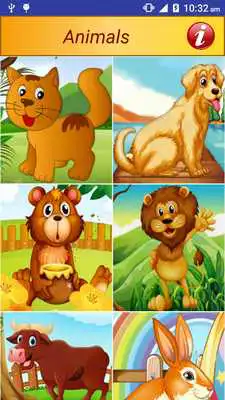Play Animals Pictures Puzzle Game