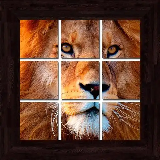 Play Animals Puzzles - 101 pictures APK Play Animals Puzzles - 101 pictures APK