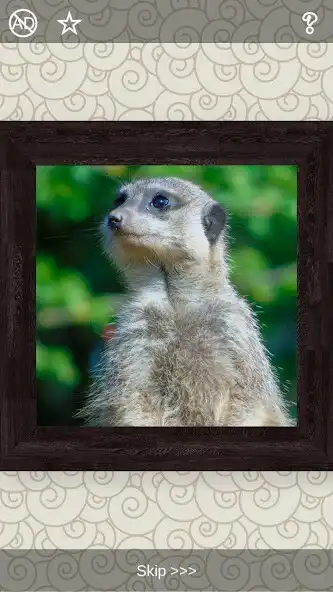 Play Animals Puzzles - 101 pictures as an online game Animals Puzzles - 101 pictures with UptoPlay