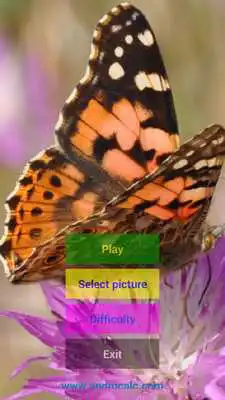 Play Animals Puzzle