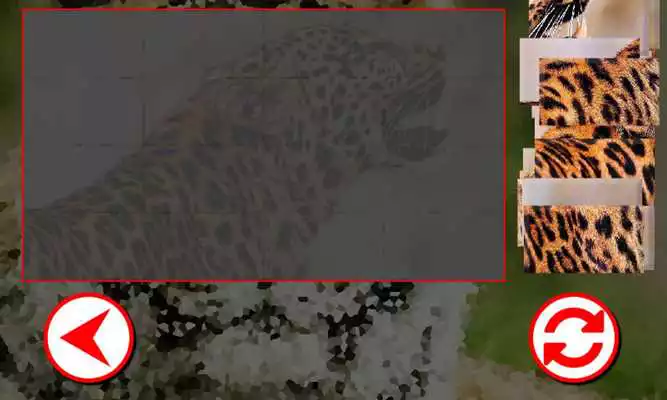 Play Animals Puzzles
