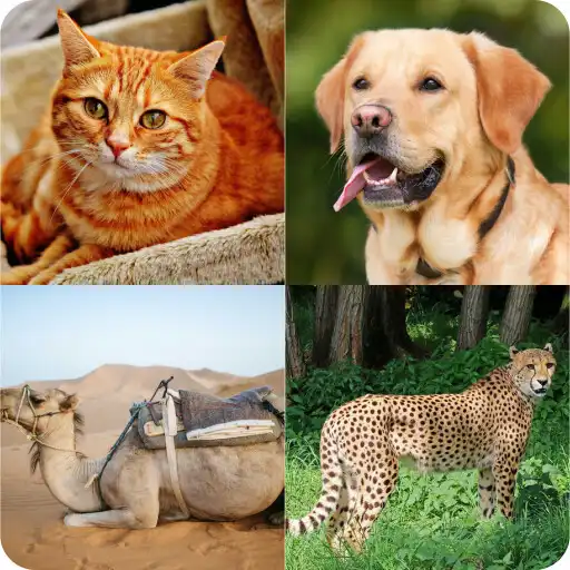 Play Animals Quiz APK Play Animals Quiz APK