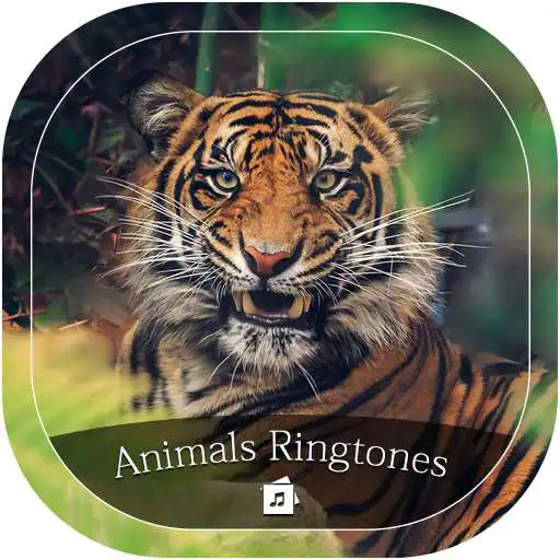 Play Animals Ringtone APK Play Animals Ringtone APK